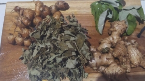 Wow,,,, Kombinasi Sakti Daun Kelor, Jahe, Daun Bidara & Kencur