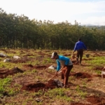 Pembukaan lahan Perkebunan Ponpes Al Barru
