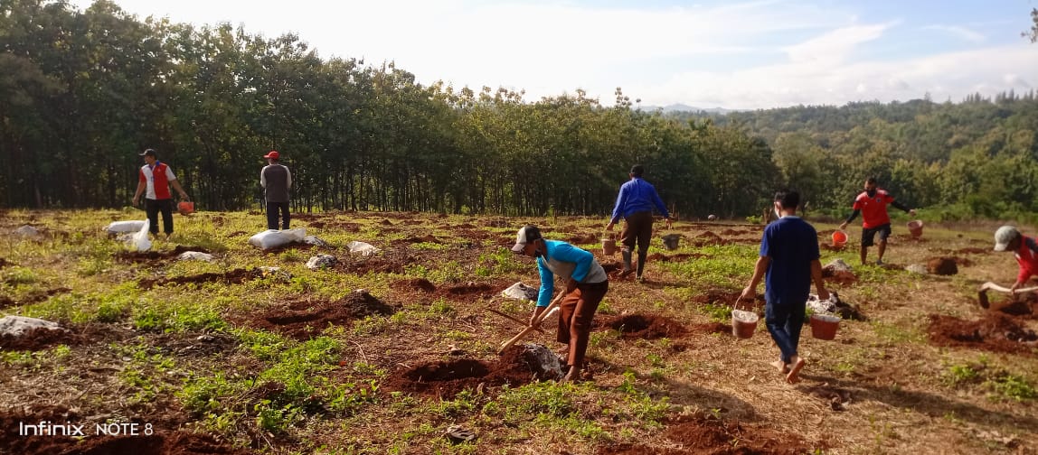Pembukaan lahan Perkebunan Ponpes Al Barru