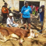 LDII Menilai Qurban Menjadi Momen Yang Tepat Untuk Melawan Pandemi Covid.19
