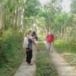 Rumput Liar Membahayakan dan Meresahkan, PAC LDII Desa Slogoretno Kecamatan Jatipurno Wonogiri Bersama Warga Melaksanakan Penyemprotan