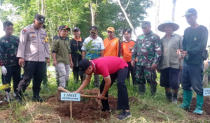 LDII Wujudkan Kepedulian Lingkungan, Ribuan Bibit Pohon Ditanam di Jatipurno Wonogiri