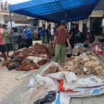 Semangat Berkurban Warga LDII Wonogiri Meningkat, Nilai Kurban Capai Rp13,2 Miliar